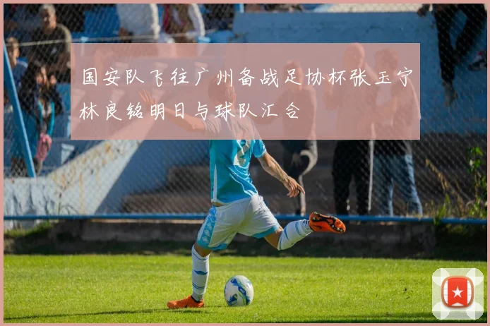 国安队飞往广州备战足协杯张玉宁林良铭明日与球队汇合